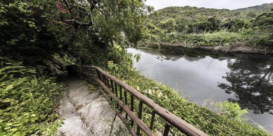 Fish Eagle Manor Bed & Breakfast East London Dış mekan fotoğraf